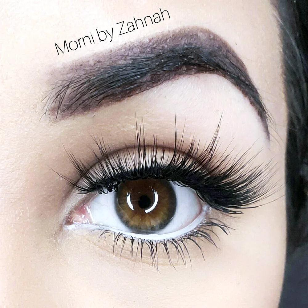 Eyelashes - Morni