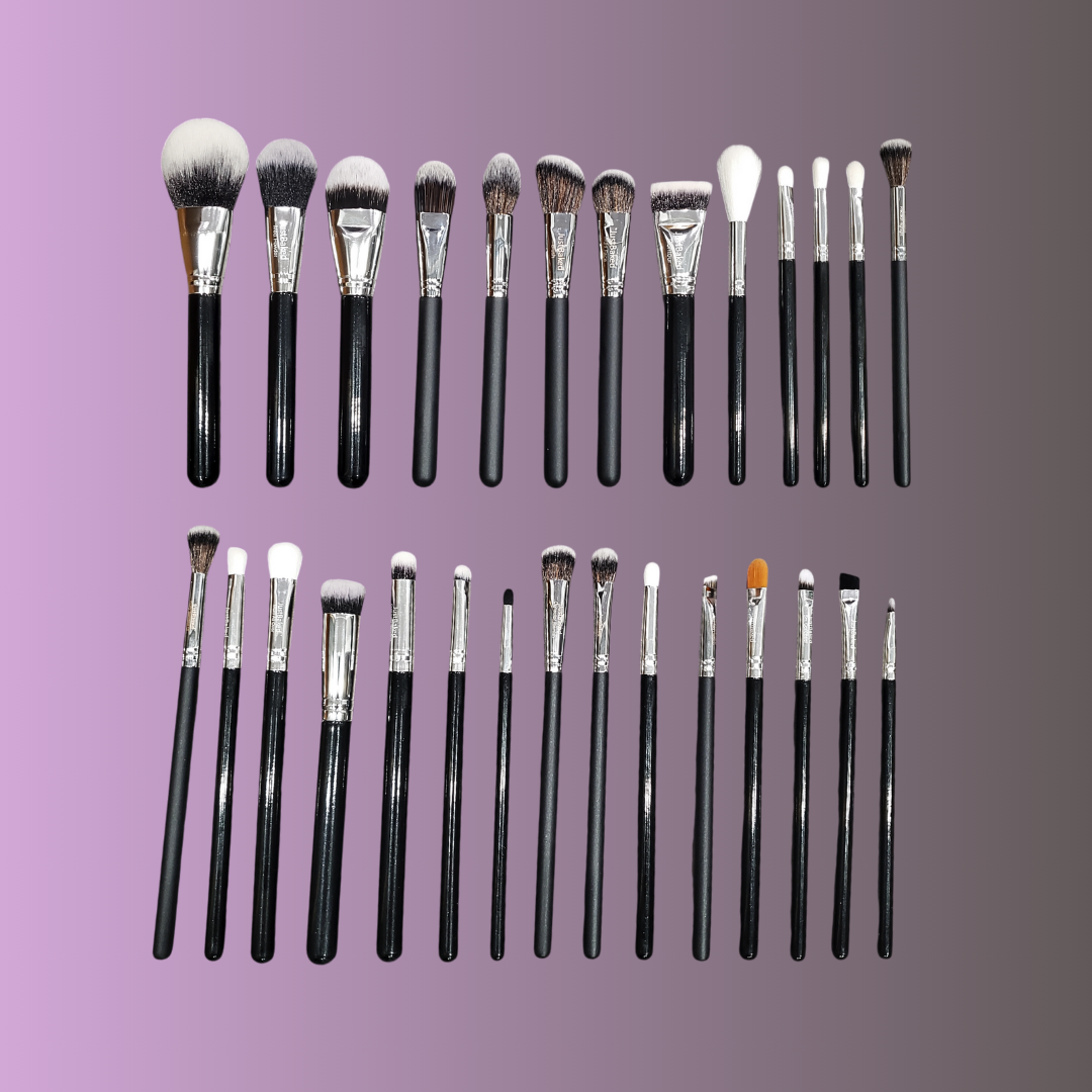 29 Piece Professional Brush Set with Brush Belt